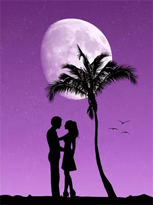 我的老婆是个宝