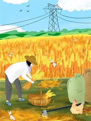 养侄18年,嫂子认亲,侄子拒生母认我了